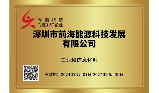 【新闻前沿】本批次全国唯一！前海“小巨人”干出能源“大事业”→